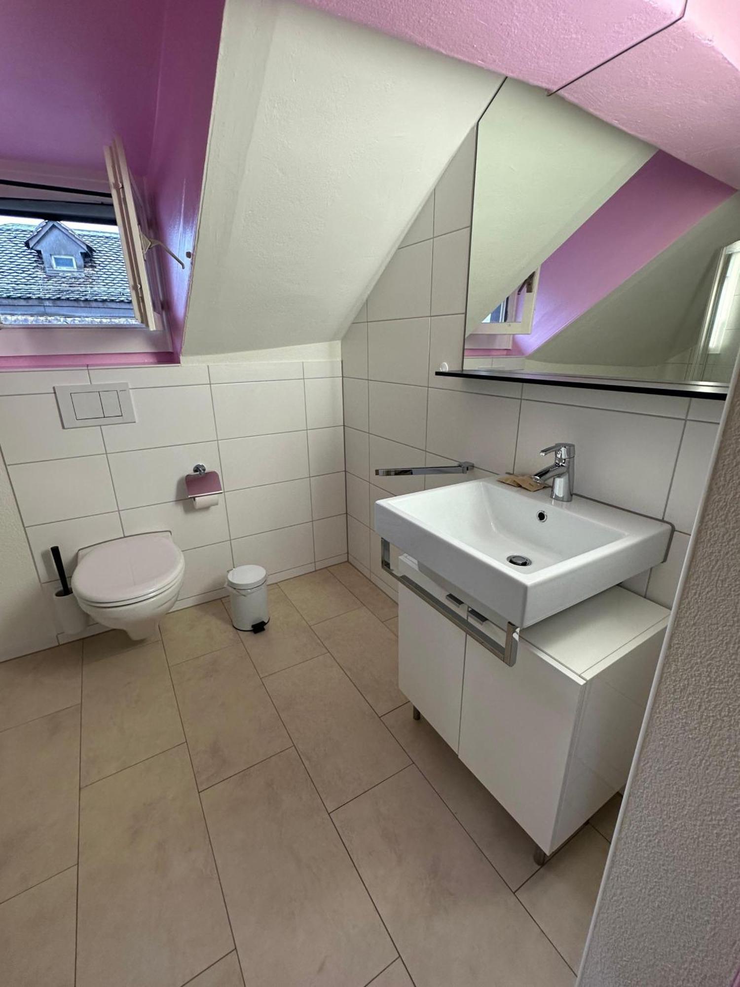 Hitrental Limmatquai Apartment チューリッヒ エクステリア 写真