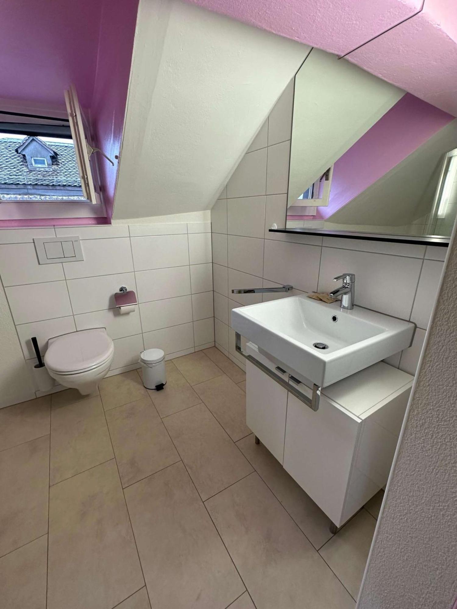 Hitrental Limmatquai Apartment チューリッヒ エクステリア 写真
